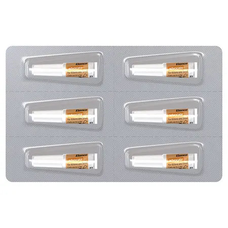 Advantage – Fleas – Kittens & Small Cats up to 4kg