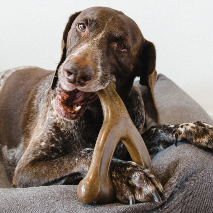 Benebone – Bacon Wishbone