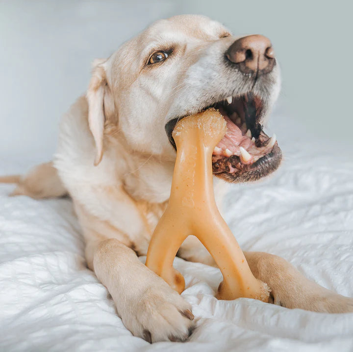 Benebone – Chicken Wishbone