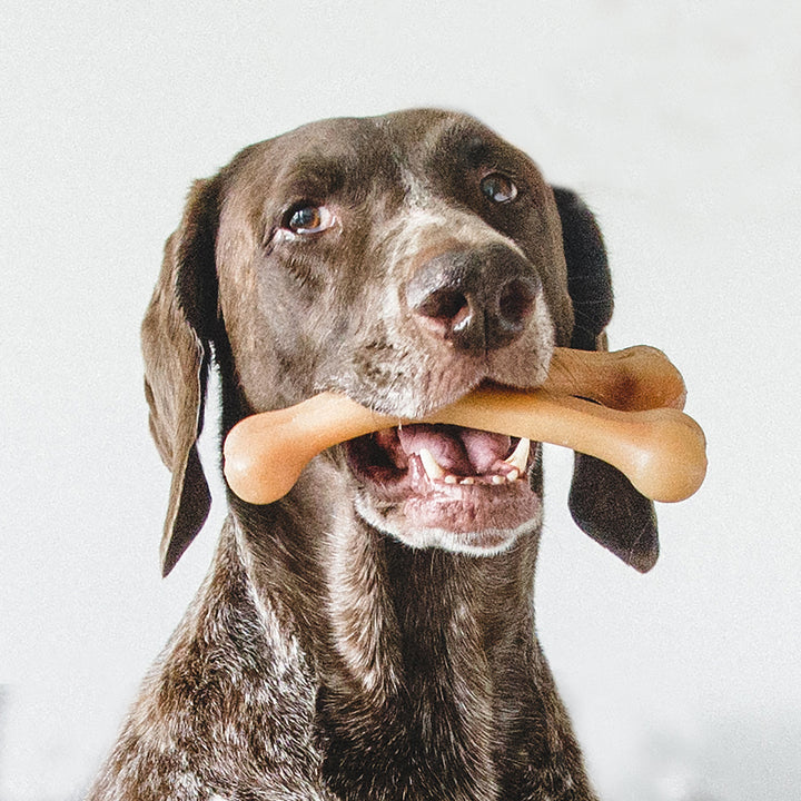 Benebone – Chicken Wishbone