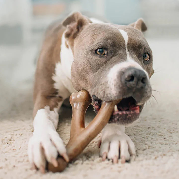 Benebone – Bacon Wishbone