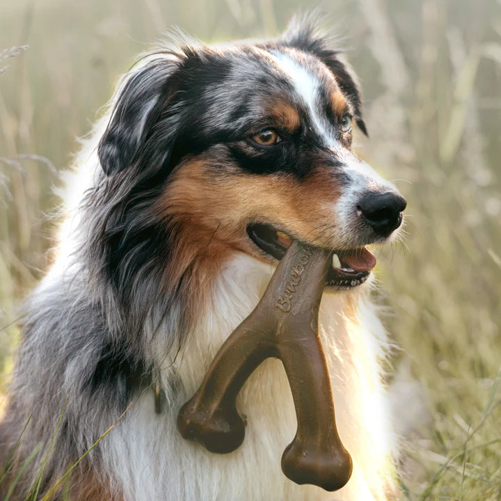 Benebone – Bacon Wishbone