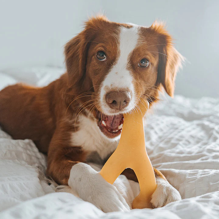 Benebone – Chicken Wishbone