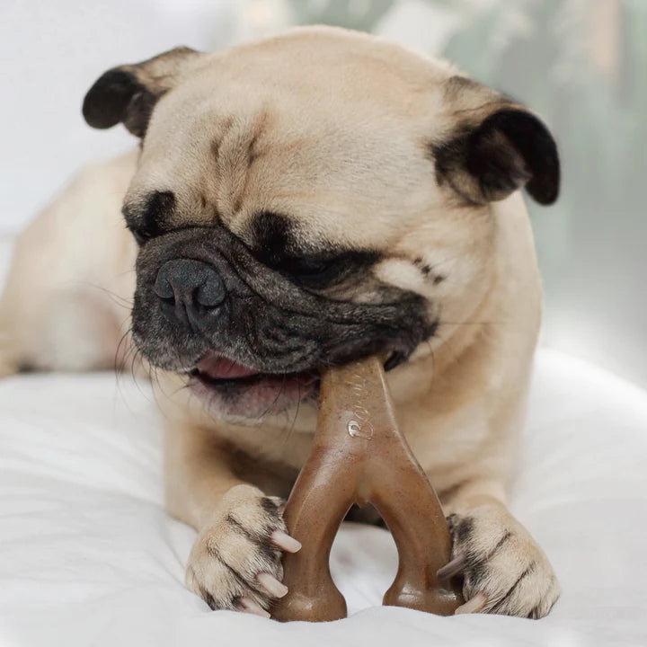 Benebone – Bacon Wishbone