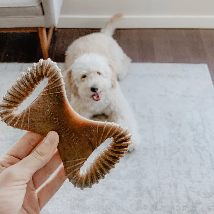Benebone – Bacon Dental Chew