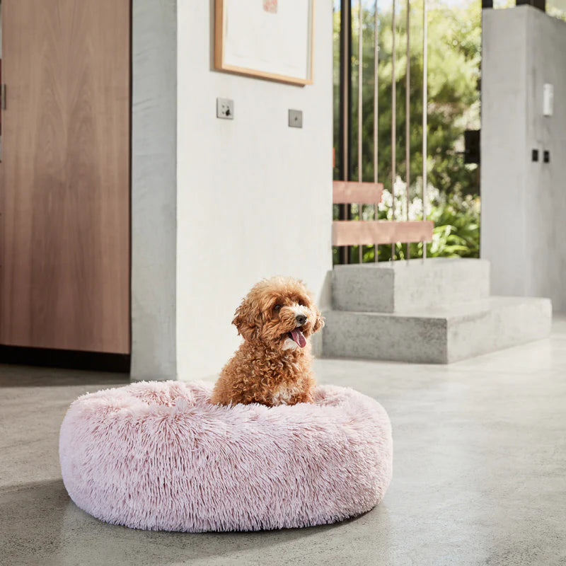 Snooza – Calming Cuddler – Bliss