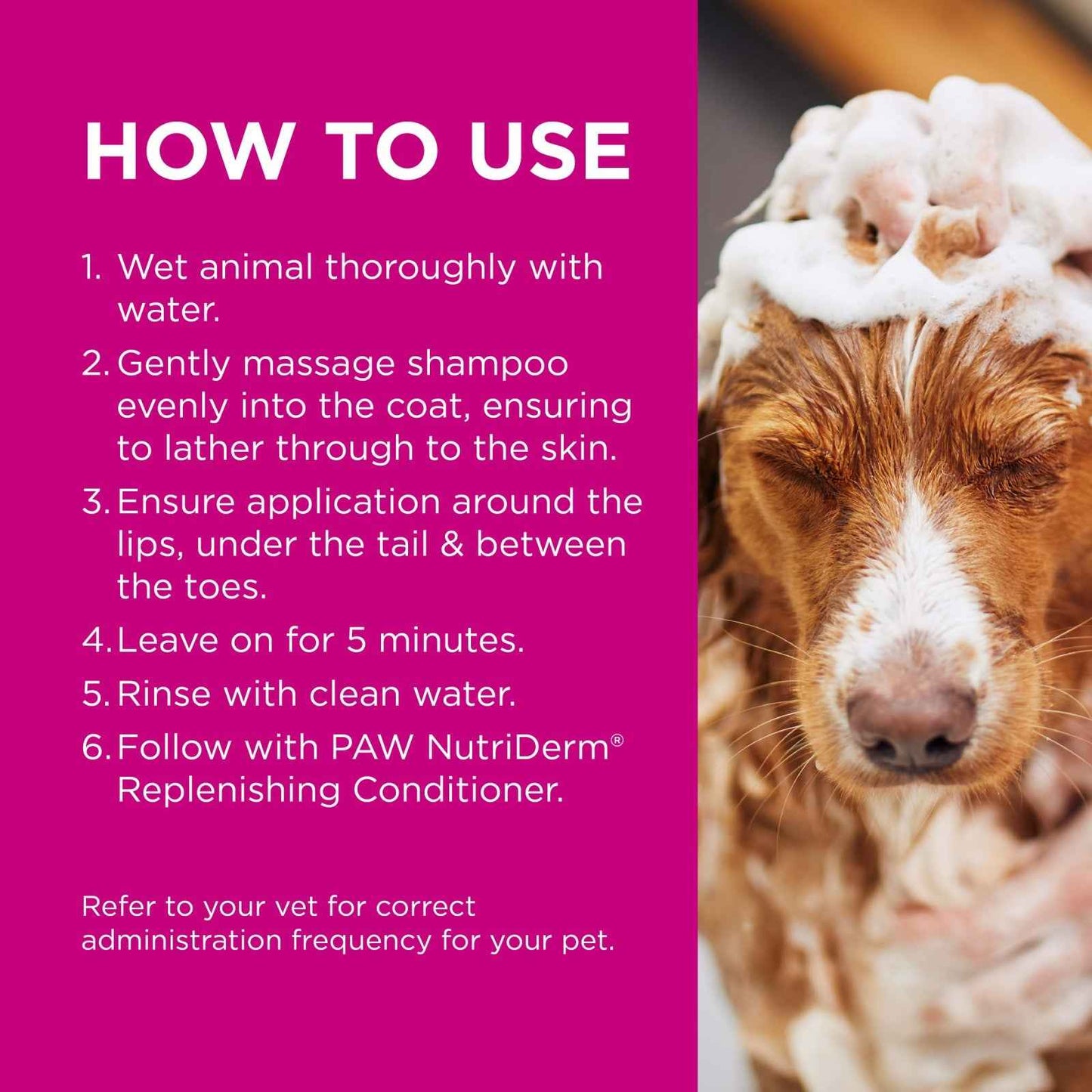 PAW by Blackmores MediDerm Gentle Medicated Shampoo