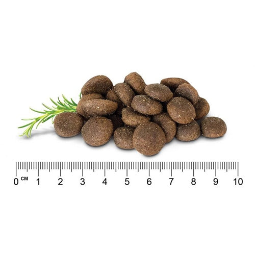 Stay Loyal – Holistic Meat Blend of Chicken, Lamb & Fish – GRAIN FREE