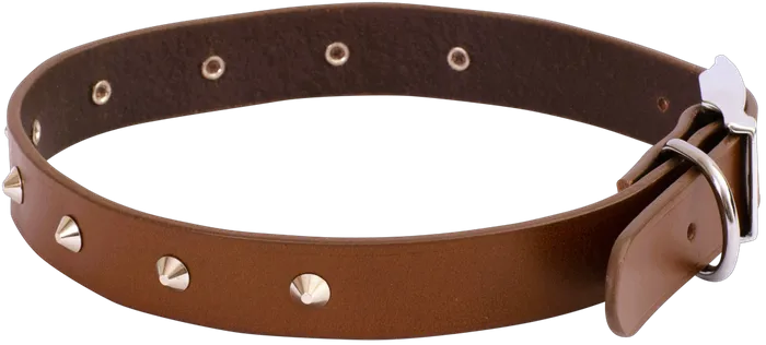 Beau Pets – Deluxe Studded Leather Collar