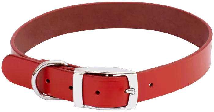Beau Pets – Deluxe Leather Collar