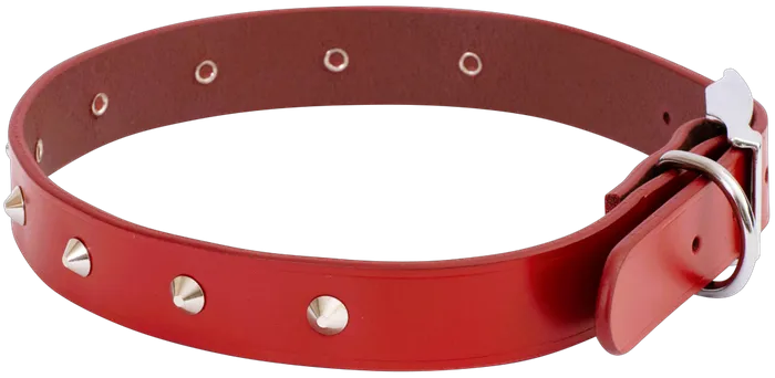 Beau Pets – Deluxe Studded Leather Collar