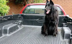 Beau Pets - Dog Travel Ute/4WD Restraint