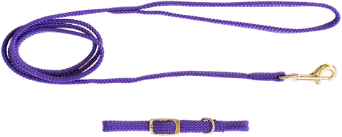 Beau Pets - Puppy Collar & Lead Set - Nylon