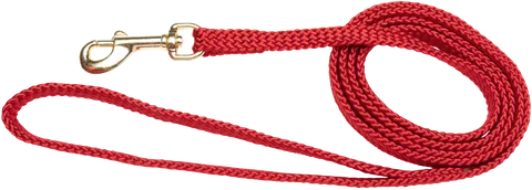 Beau Pets - Puppy Nylon Lead