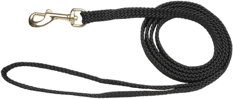 Beau Pets - Puppy Nylon Lead