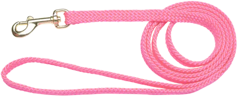 Beau Pets - Puppy Nylon Lead