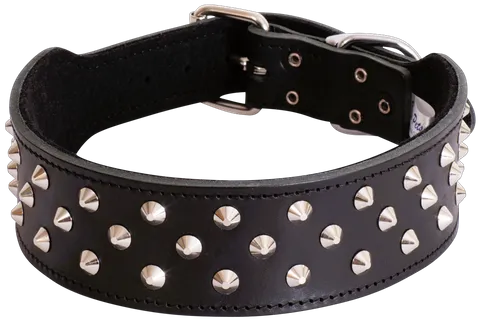 Beau Pets – Staffy Studded Leather Collar