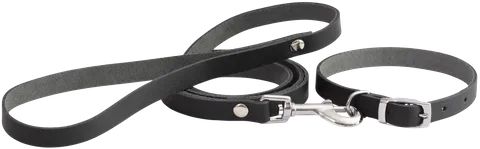 Beau Pets - Puppy Collar & Lead Set - Leather