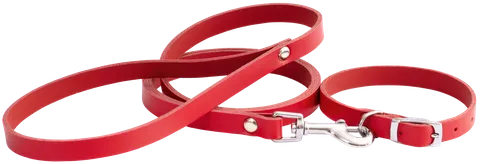 Beau Pets - Puppy Collar & Lead Set - Leather