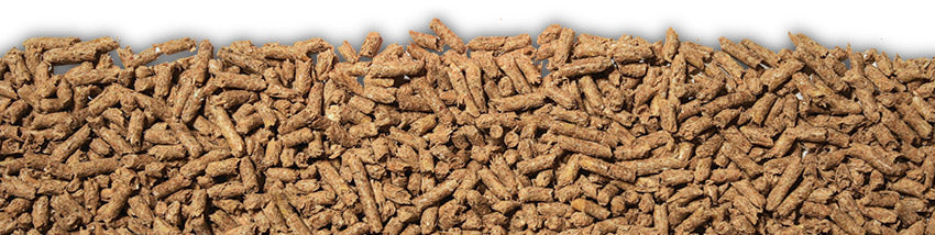 Laucke – Katz Corner – Cat Litter