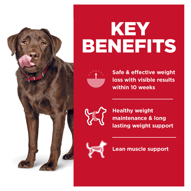 Hill’s – Science Diet – Adult Dog – Perfect Weight – Large Breed