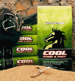Laucke – Cool Horse & Pony