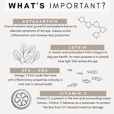 PetzPark – Eye Support – For Dogs