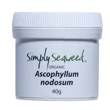 Simply Seaweed – Dental Supplement