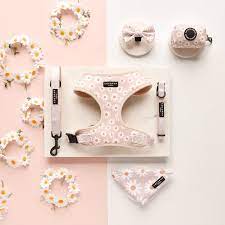 Cocopup London – Dog Collar – Daisy Chain