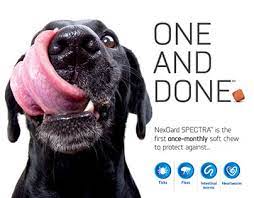 NexGard SPECTRA – Chewables for Dogs