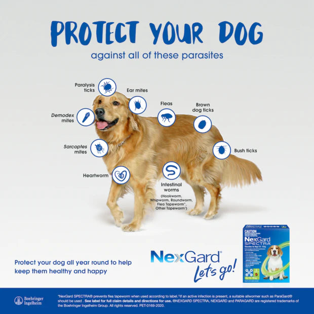NexGard SPECTRA – Chewables for Dogs