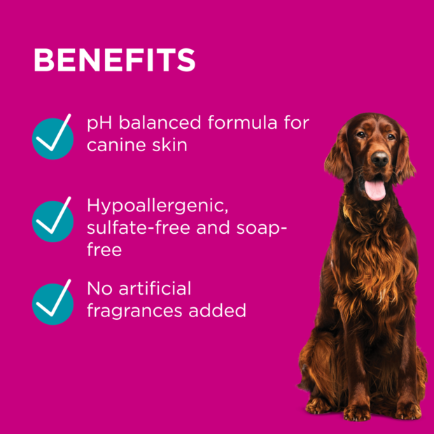 PAW by Blackmores Sensitive Skin Shampoo for Dogs