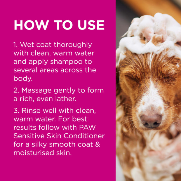 PAW by Blackmores Sensitive Skin Shampoo for Dogs
