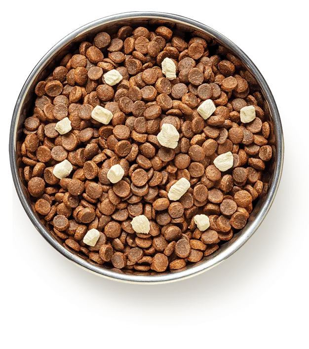 Pure Life – Puppy – GRAIN FREE – Australian Chicken