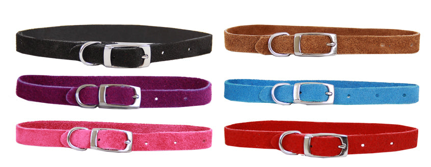 Beau Pets – Puppy Collar – Suede