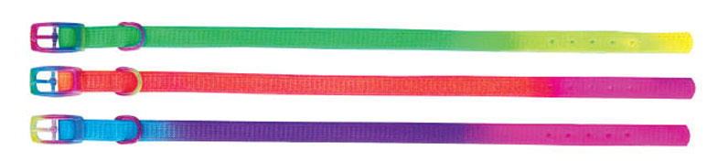 Beau Pets – Puppy Collar Rainbow