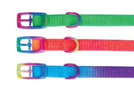 Beau Pets – Puppy Collar Rainbow