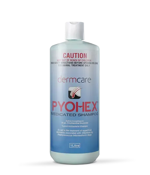 Dermcare – Pyohex Medicated Shampoo