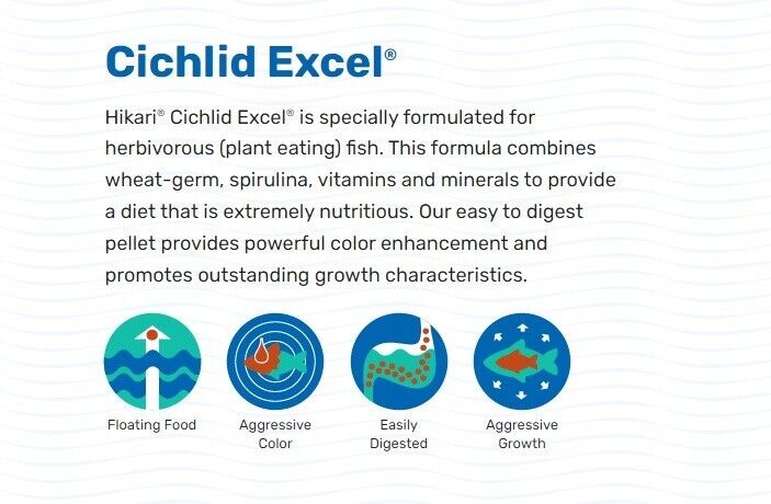 Hikari – Cichlid Excel