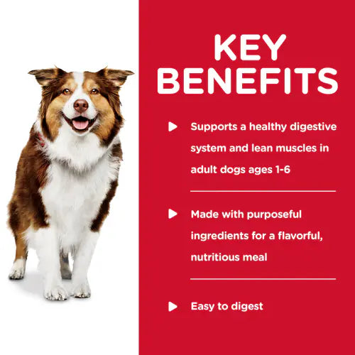 Hill’s – Science Diet – Wet Food Tins – Adult Dog – Healthy Cuisine