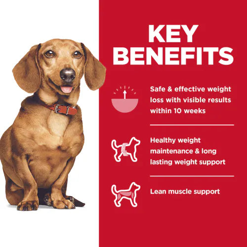 Hill’s – Science Diet – Adult Dog – Perfect Weight – Small & Mini
