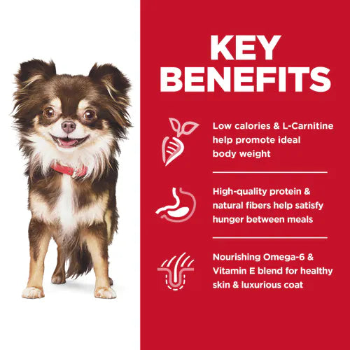 Hill’s – Science Diet – Adult Dog – Sensitive Stomach & Skin – Small & Mini