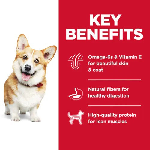 Hill’s – Science Diet – Adult Dog (1-6) – Small Bites