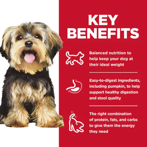 Hill’s – Science Diet – Adult Dog (1-6) – Small Paws – Lamb & Rice