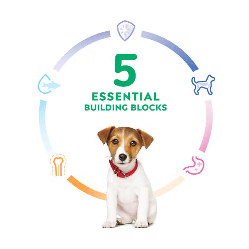 Hill’s – Science Diet – Puppy – Small Bites