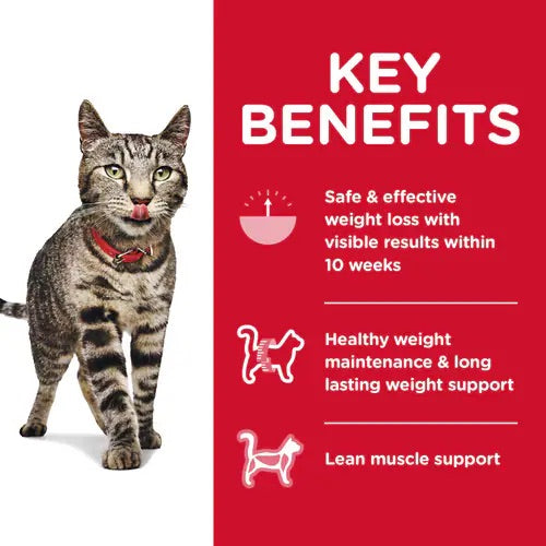 Hill’s – Science Diet – Adult Cat – Perfect Weight