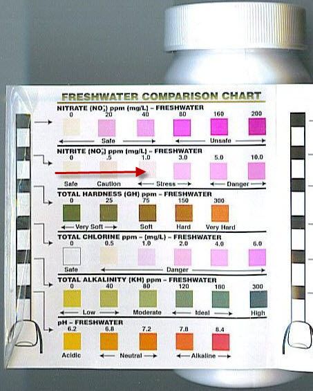 Tetra – EasyStrips 6-in-1 Aquarium Test Strips