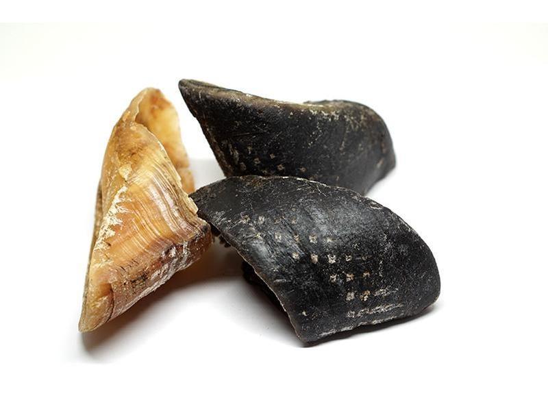 Bulk Buy - Beef Hoofs