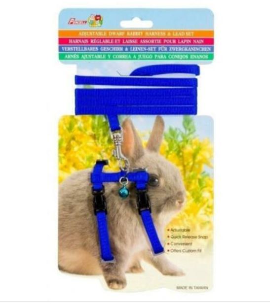 Percell – Rabbit Harness