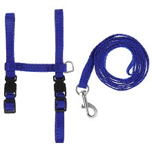 Percell – Rabbit Harness